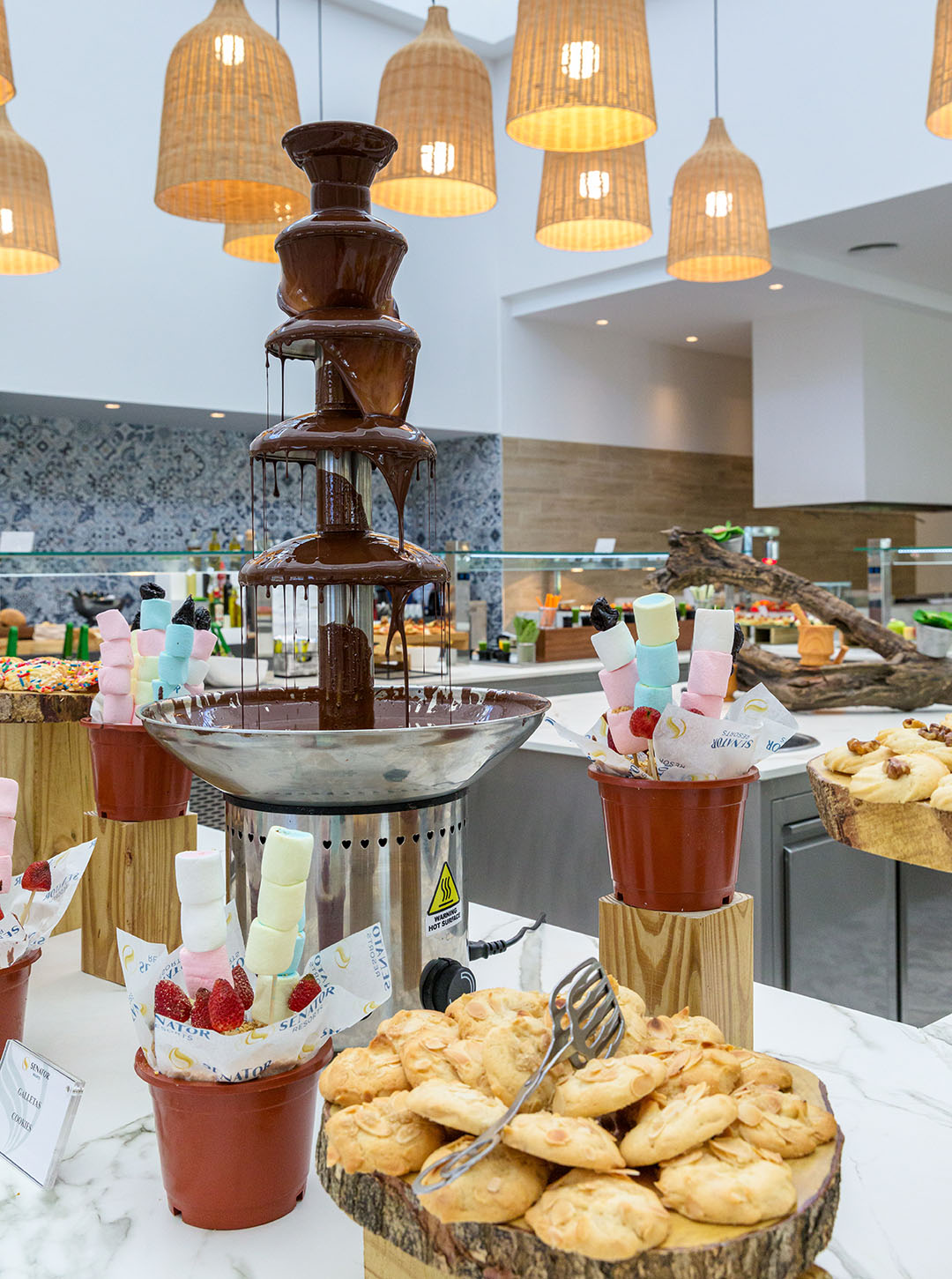 356_alta_senatorpuertoplata Fuente de Chocolate.jpg